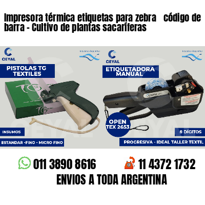 Impresora térmica etiquetas para zebra  código de barra - Cultivo de plantas sacaríferas